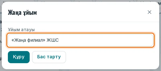 Атау өрісі бар «Жаңа ұйым» терезесі